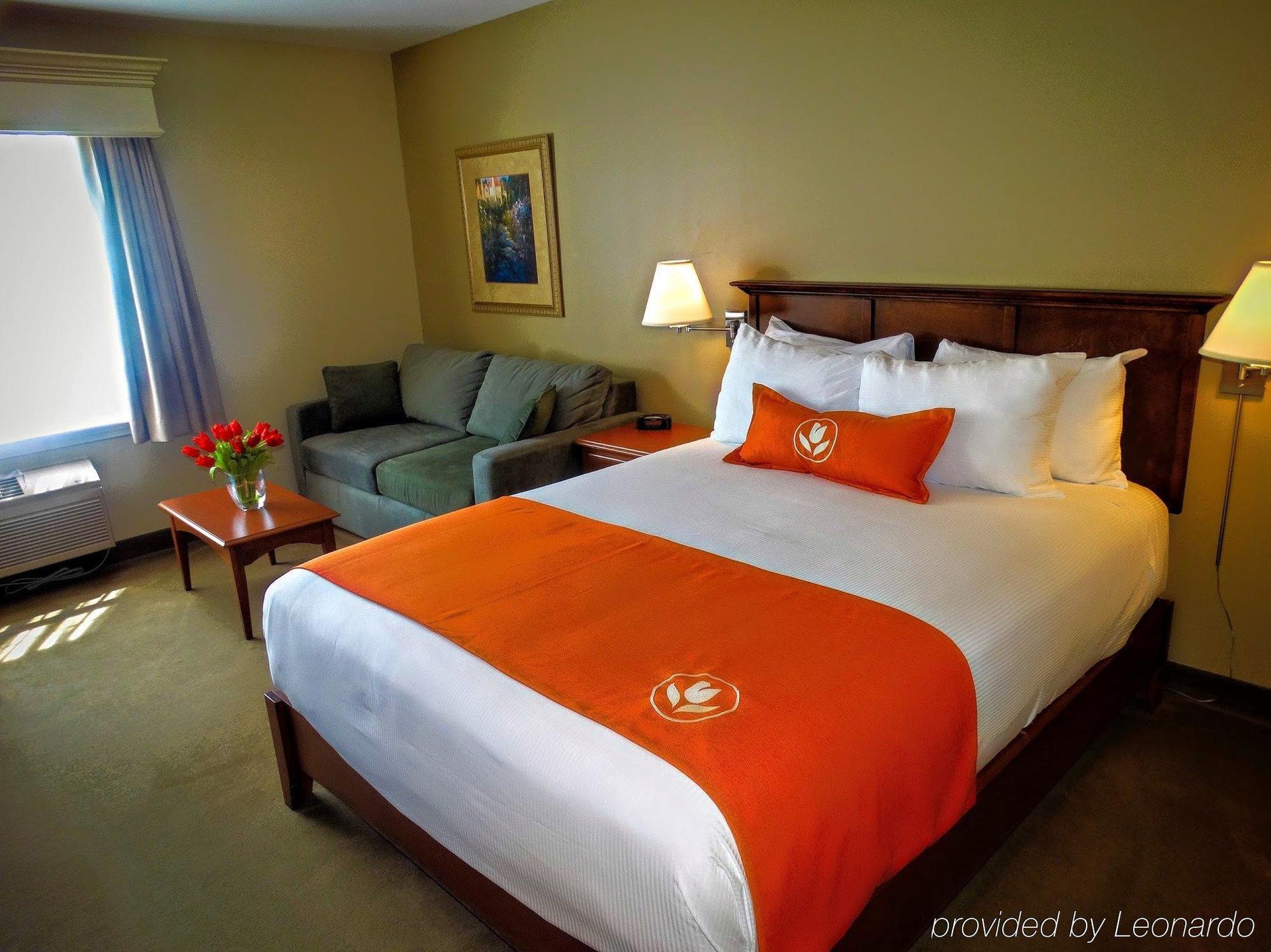 Amsterdam Inn & Suites Монктон Экстерьер фото