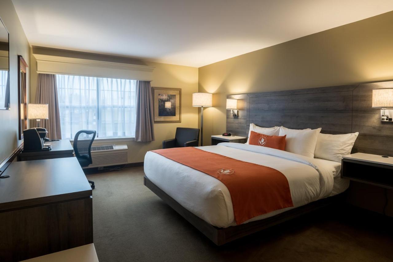 Amsterdam Inn & Suites Монктон Экстерьер фото