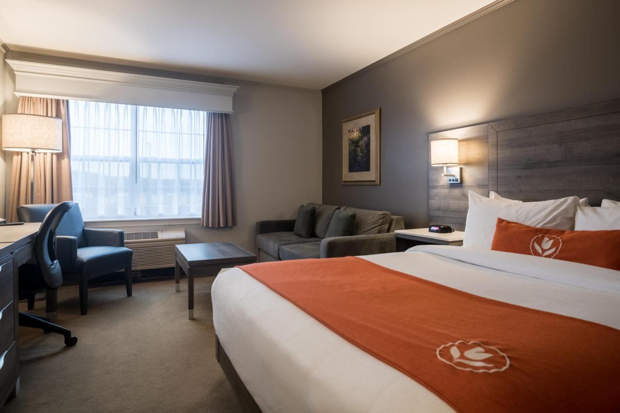 Amsterdam Inn & Suites Монктон Экстерьер фото