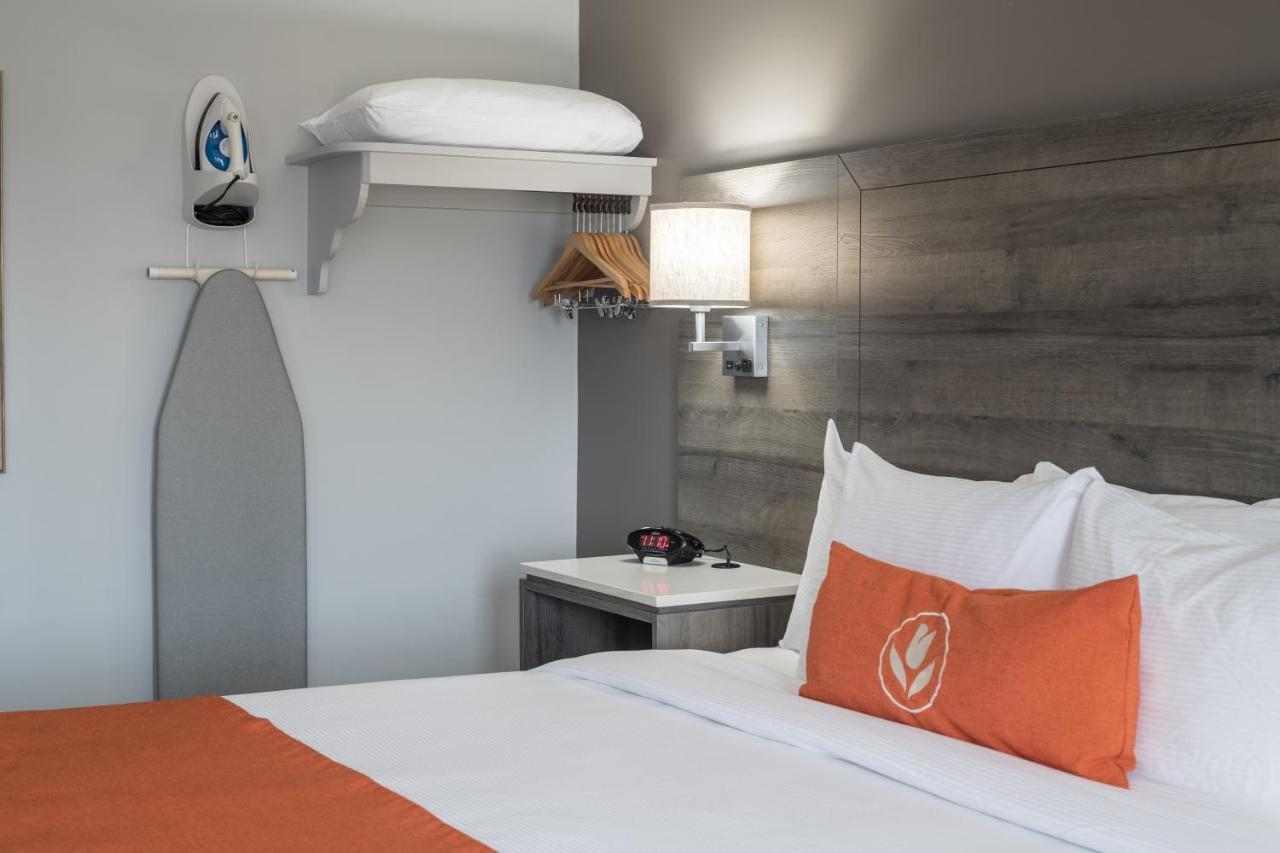 Amsterdam Inn & Suites Монктон Экстерьер фото