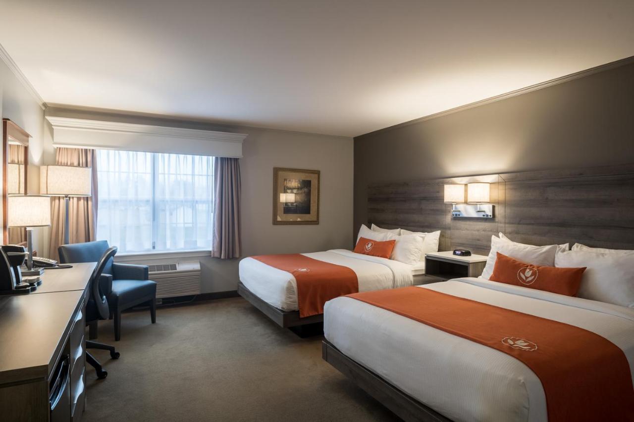 Amsterdam Inn & Suites Монктон Экстерьер фото