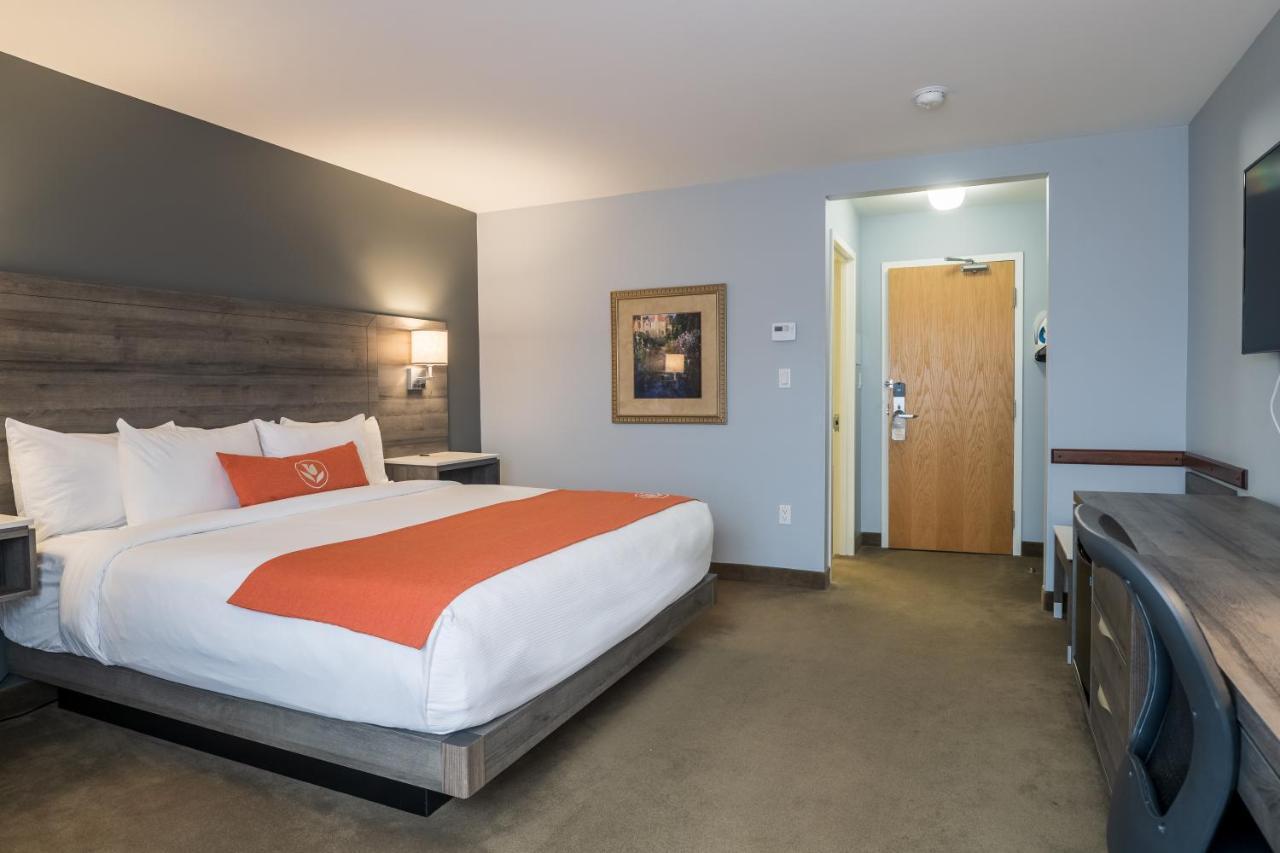 Amsterdam Inn & Suites Монктон Экстерьер фото